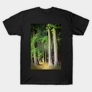 Cotswolds Trees T-Shirt